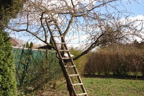 Sereď, predáme  záhradu – rekreačný pozemok v záhradkárskej oblasti o výmere 495m2 - Chata - Predaj