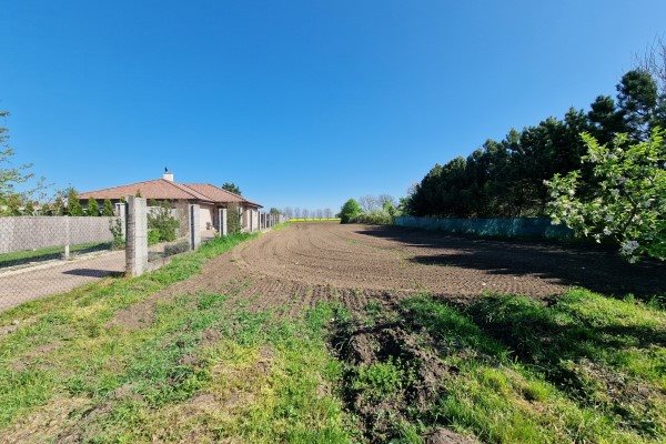 Sereď, predáme rodinný dom so záhradou na pozemku o výmere 4543 m2. - Rodinný dom - Predaj