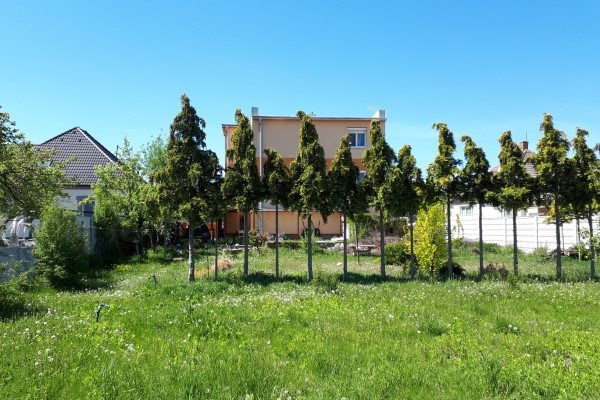 Sereď- poschodový rodinný dom na predaj s10 á pozemkom - Rodinný dom - Predaj