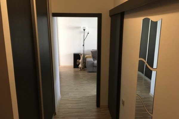 2 izb. kompletne prerobený byt, 53 m2 v OV na Čepenskej ul. na predaj - Byt - Predaj